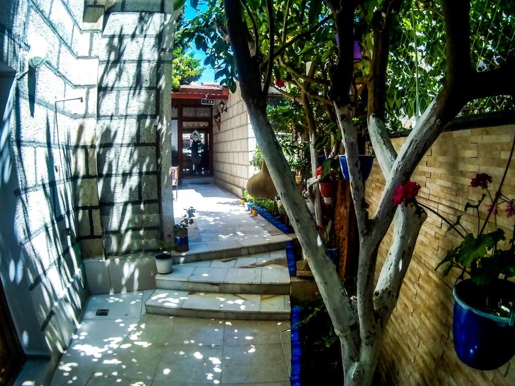 Antik Motel 阿拉恰特 外观 照片